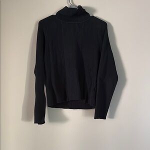 Black Turtleneck Sweater Carolyn Taylor
